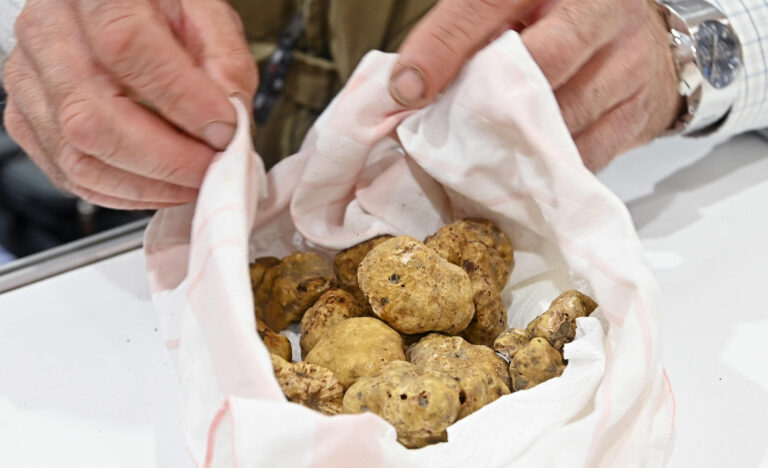 Gubbio, venerdì 30 ottobre apre la 45ª Mostra del Tartufo Bianco